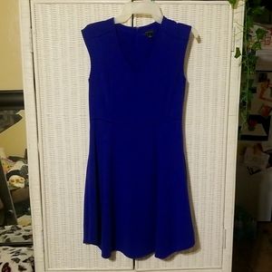 Women's Ann Tailor Size 2 Blue Dress